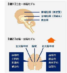 ハーマンモデル2